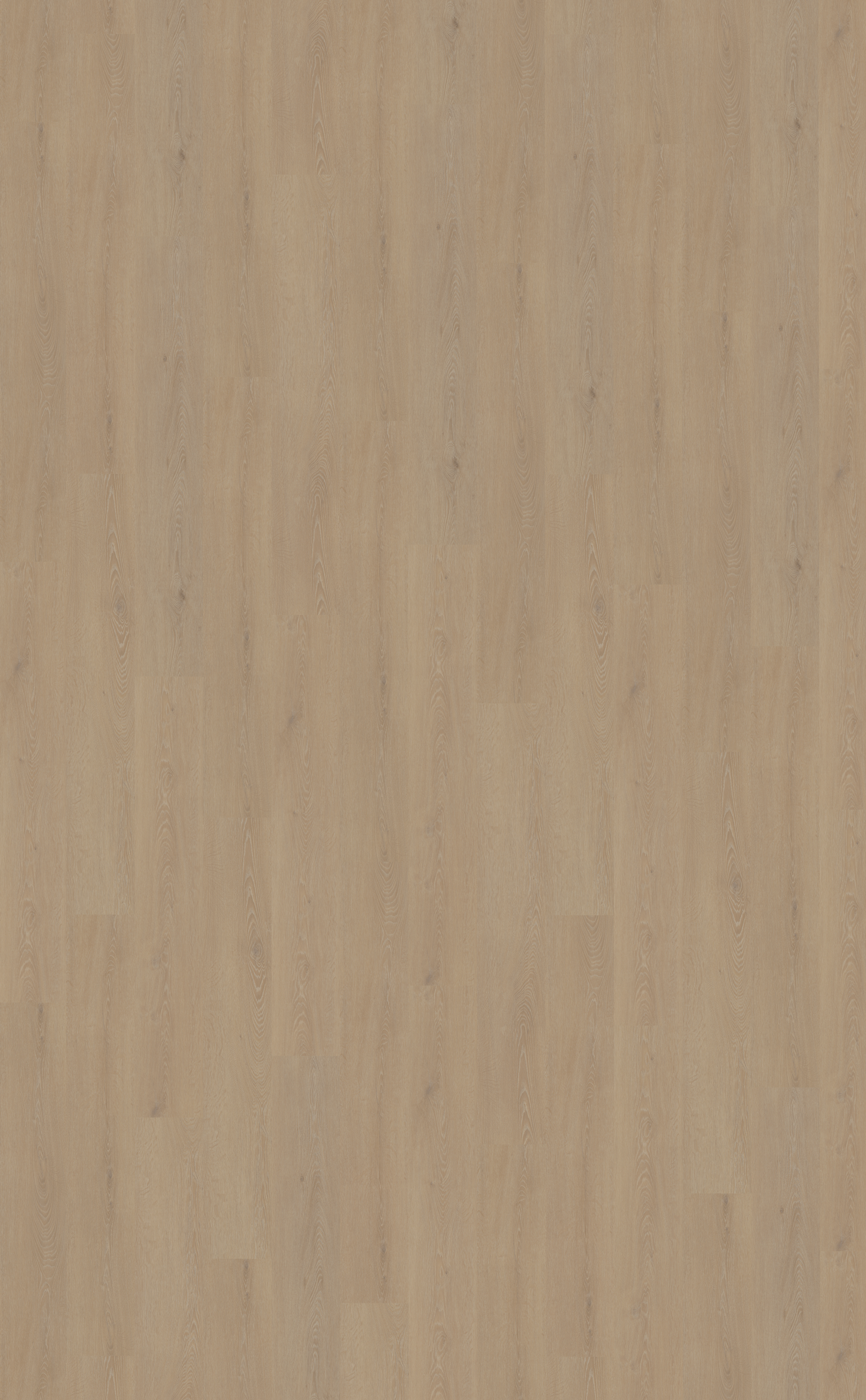 Cervo 210 | Rigid Click